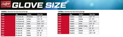 Rawlings | Players Series T-Ball & Youth Baseball Glove | Multiple Styles